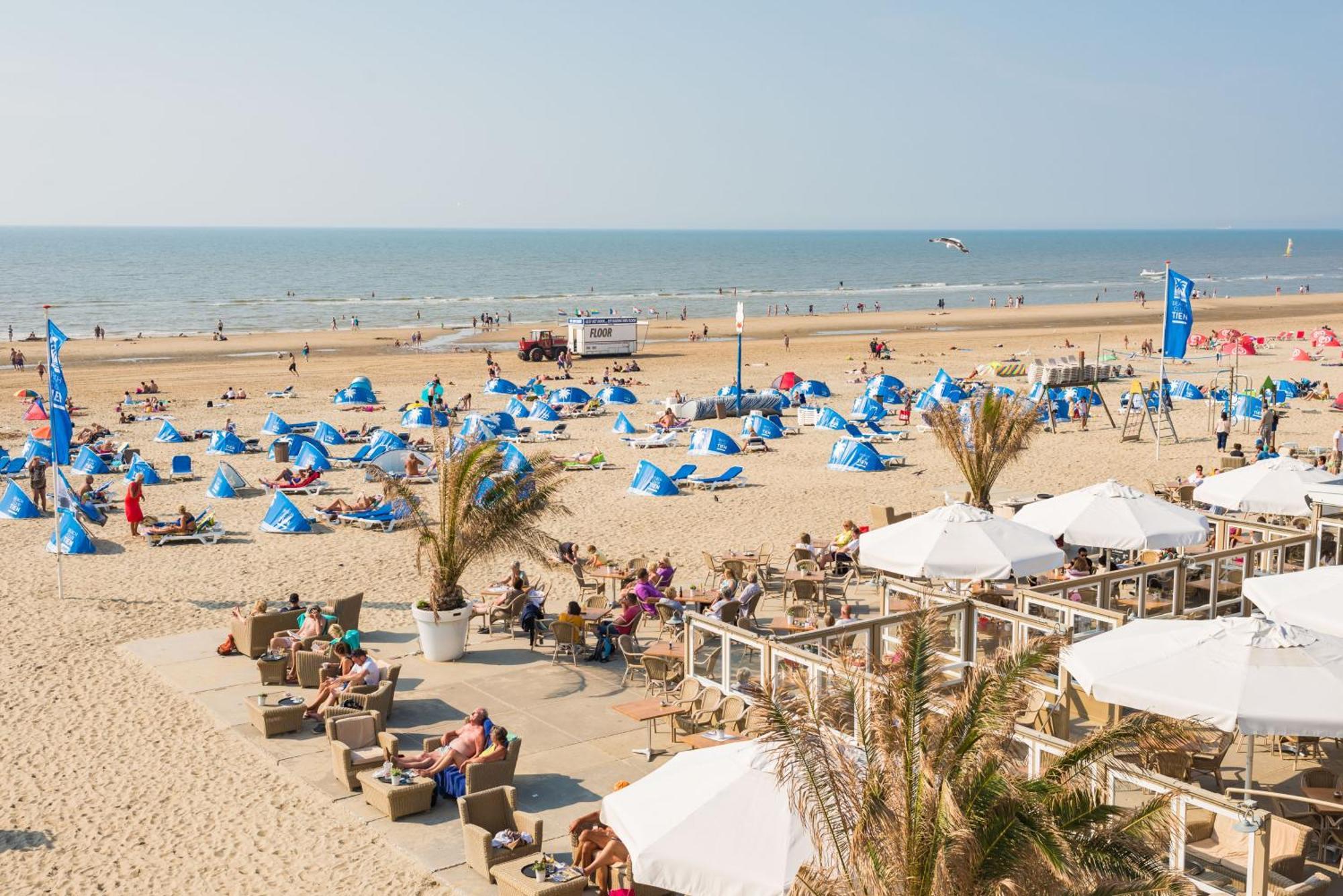 Willa Moyo Kijani Zandvoort Zewnętrze zdjęcie